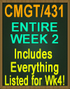 CMGT/431 Week 2 uCertify Labs